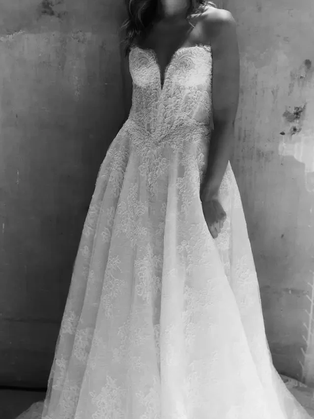Alena Leena Iberis Lace wedding dress ball gown bridal gown modern bride
